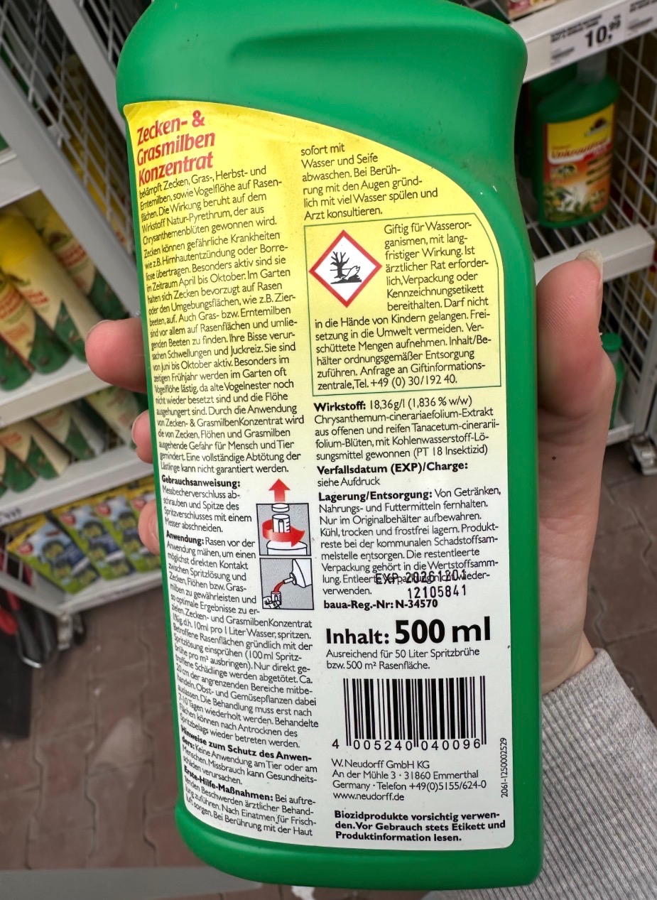 Honigbienen an einer Wabe